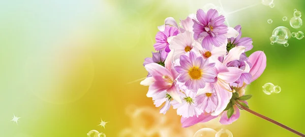 Míchané květiny. Krásnou kytici růžových květů. Lily, orchideje — Stock fotografie