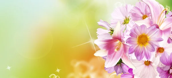 各種の花。美しい花束ピンク花。ユリ、蘭の花、ピンク カモミール, ロイヤリティフリーのストック画像