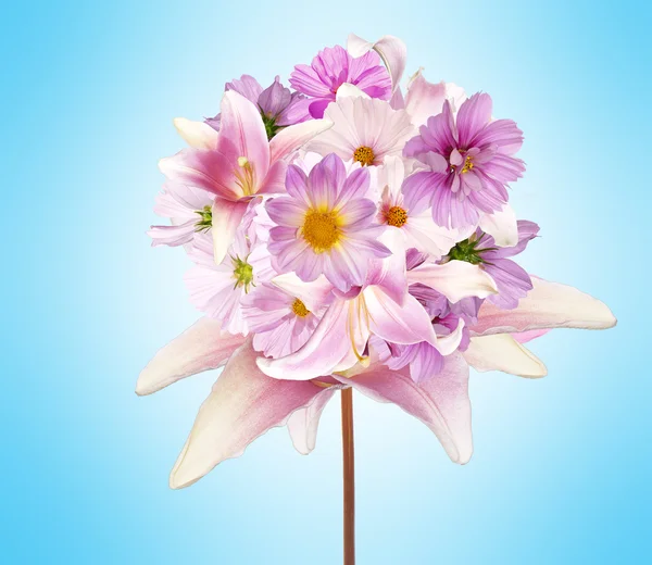 Красивий різноманітний букет рожевих квітів — стокове фото