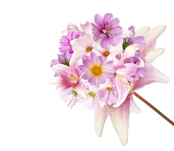 Bellissimo bouquet di fiori rosa giardino su bianco — Foto Stock