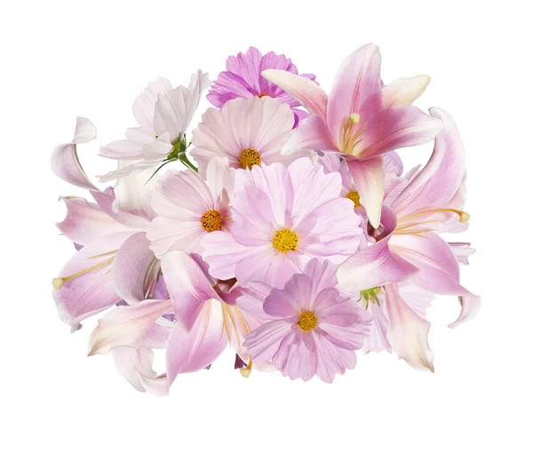 흰색 배경 isolat에 아름 다운 꽃다발 핑크 꽃 정원 — 스톡 사진