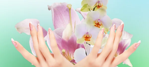 Manicure de arte rosa claro. Unha. Mãos bonitas. Moda elegante T — Fotografia de Stock
