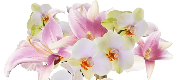 Lekka różowa lilia i orchidea — Zdjęcie stockowe