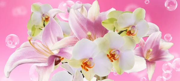 Ljus rosa lily och orkidé — Stockfoto