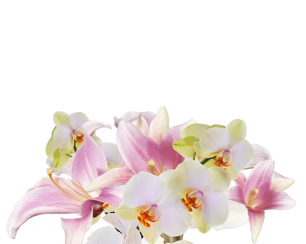 Hafif pembe sanat beautifil buket Lily'yle orkide — Stok fotoğraf