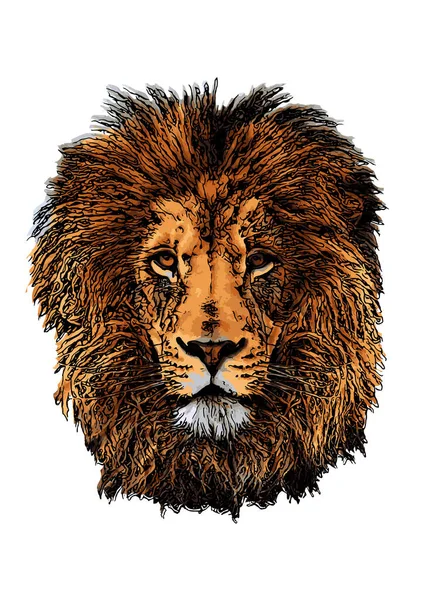 Tête Lion Sur Fond Blanc — Image vectorielle