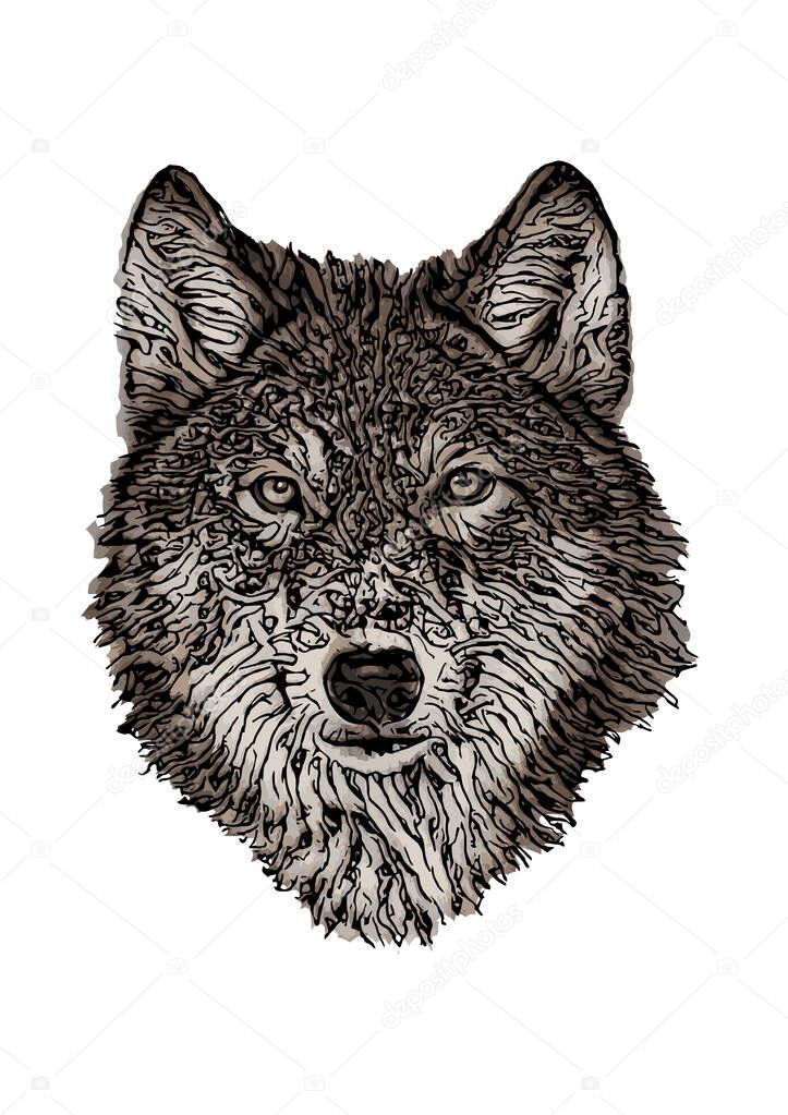 wolf head - colored vector illustration