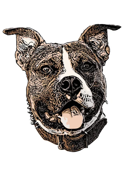 American Staffordshire Terrier Farbige Vektor Illustration — Stockvektor