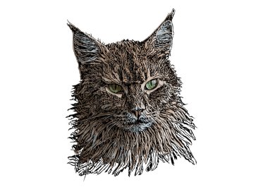 beyaz arkaplanda kedi başı vektör illüstrasyonu