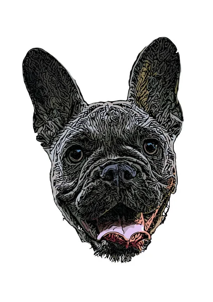 Illustration Vectorielle Tête Bouledogue Français Sur Fond Blanc — Image vectorielle