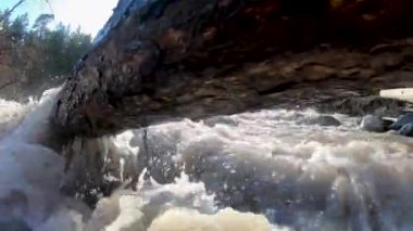 Dağ nehri akıntısı devrilmiş ağacın üzerinde