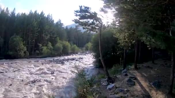 Horská řeka teče mezi lesy — Stock video