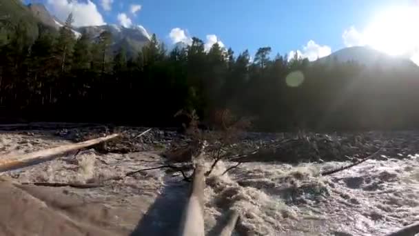 Vuile berg rivier en omgevallen boom — Stockvideo