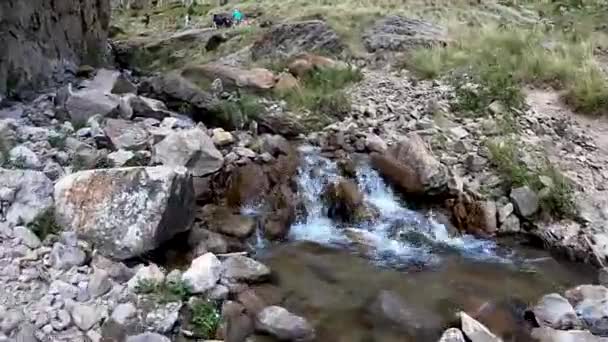 Mountain Creek και οι άνθρωποι περπατούν ανθρώπους Βίντεο Αρχείου