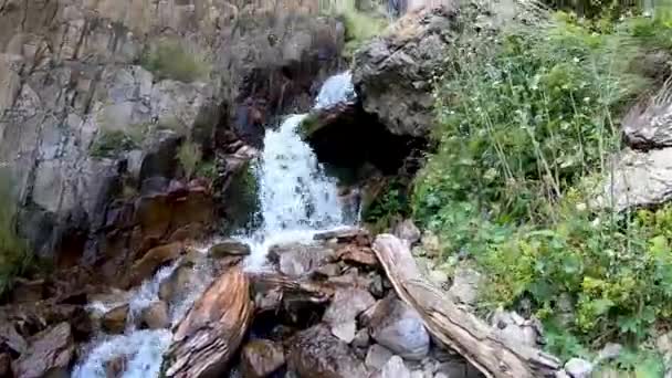 Mountain stream with a view of the sky Stock Footage
