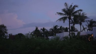 Phuket Tayland, avuç içi ve gökyüzü güzel gündoğumu