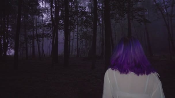 Vista posterior de la hermosa mujer en camisa blanca y pelo morado caminando en el bosque oscuro - escena de suspenso . — Vídeo de stock