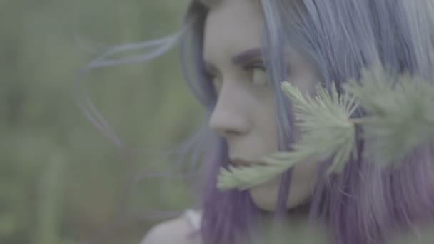 Closeup of beautiful woman in purple hair in coniferous forest - fairytale scene. Video of smiling beauty in slow motion. — Stock Video