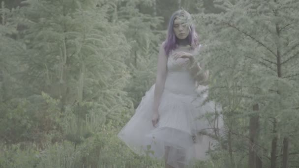 Krásná žena v bílých šatech a fialových vlasech, jak kráčí a dotýká se stromů v pohádkové scéně. Video o smyslné kráse mezi jehličnanů v pomalém pohybu.