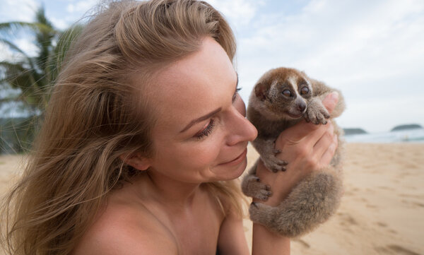 Slow loris in the hands of women isolated on the beach.
