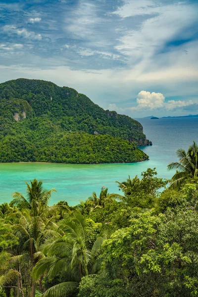 Phi Phi Island Bakış