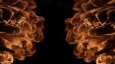 Ateş alevi siyah arkaplanda izole edildi.