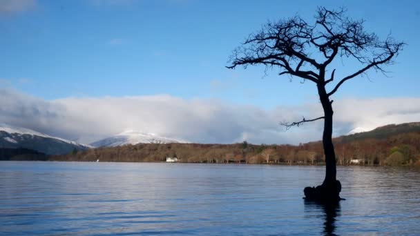 Timelapse van Loch Tay in de Schotse Hooglanden tijdens een prachtige heldere winterdag met sneeuw op Ben Berjaya Eden Park, Schotland — Stockvideo