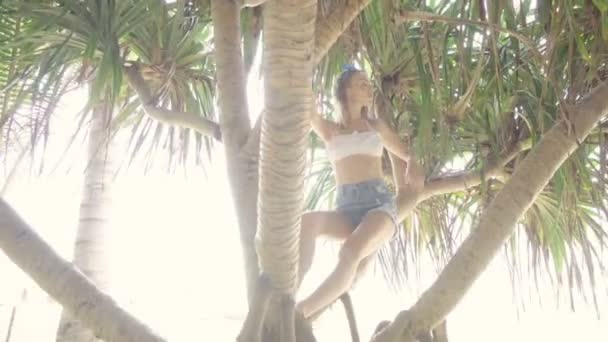 Pretty naturally looking woman wearing white bikini top, jeans shorts and blue headband bow on a beautiful summer day sitting on palm tree branch — Stock Video