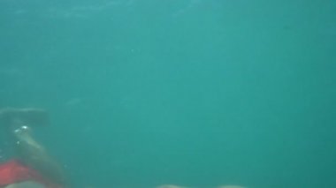 Suyun altında başparmak larını gösteren adam, denizde yüzüyor