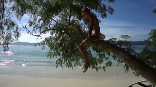 Mulher loira bonita feliz vestindo trajes de banho coloridos sentados em um galho em um belo dia de verão com fundo bonito do mar e do céu - vídeo em câmera lenta — Vídeo de Stock