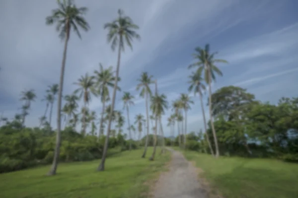 Paesaggio sfocato di passerella con cespugli e palme vicino al campo di erba sotto il cielo blu — Foto Stock