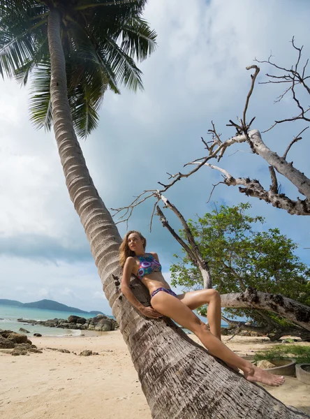 Beautiful young woman wearing colorful bikini on a beautiful summer day standing, relaxing leaning against a palm tree near the sea — Stock Photo, Image