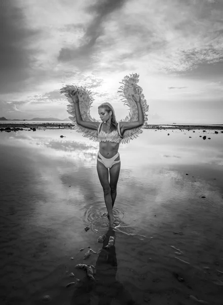 ビーチの天使としてロマンチックな若い美しさの黒と白の写真。曇り空を背景に海にピンクの羽、羽ブラとビキニ底立ちを着てきれいな女の金髪の女性 — ストック写真