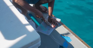 Fisherman cleaning a freshly coughted grouper fish for dinner on a boat clipart