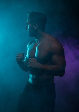 Silhouette Topless Athletic Man in a Fighting Pose clipart