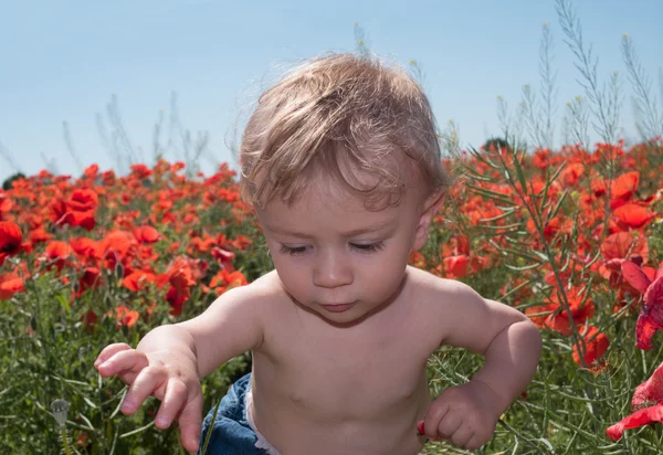 Ładny biały dziecko grając z kwiatami w ogrodzie — Zdjęcie stockowe
