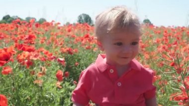 Happy smiling little baby boy picking up poppies flowers in flourish field
