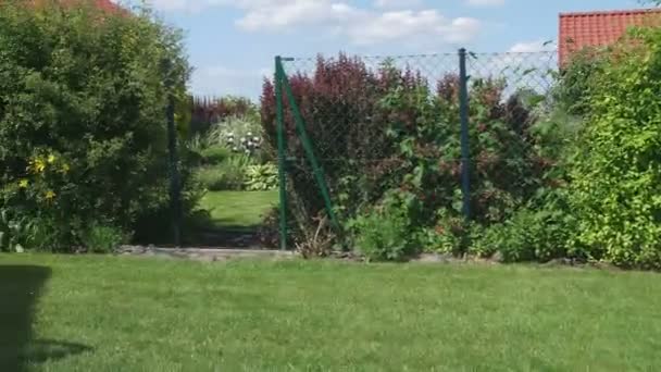 petit garçon qui s'amuse et sourit sur l'herbe 