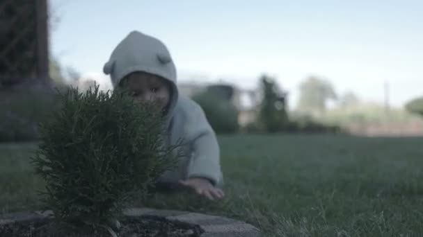 Pequeño bebé que se divierte y sonríe en la hierba — Vídeos de Stock