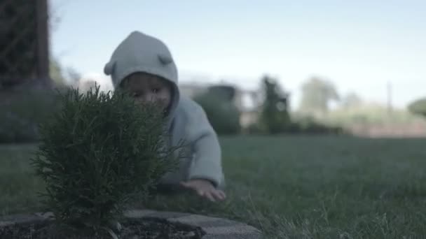 Petit garçon qui s'amuse et sourit sur l'herbe — Video