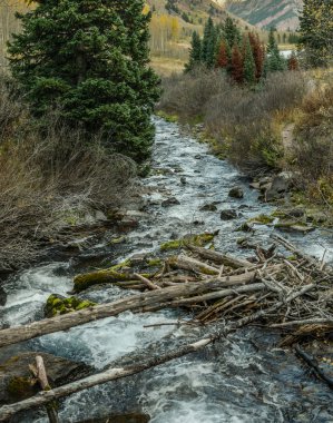Çan, Aspen Colorado bordo