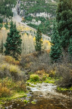 Çan, Aspen Colorado bordo