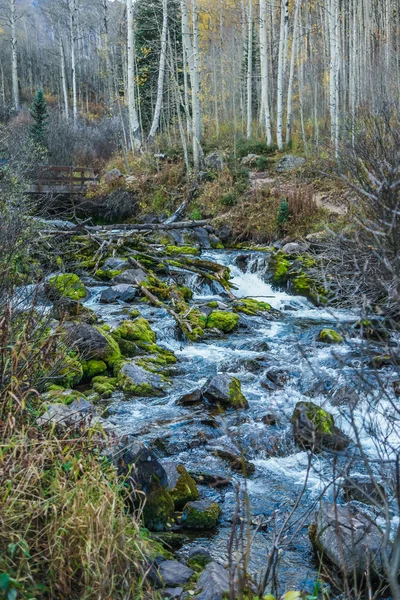 Maroon Bells , Aspen Colorado — Stock Photo, Image