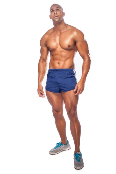 Muskulöser Bodybuilder — Stockfoto