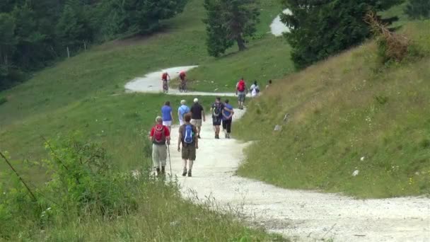 Randonner Dans Les Alpes Autrichiennes Randonnées Pédestres Cyclistes Dans Les — Video