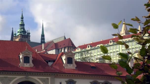 Katedra Wita Pradze Kultowa Katedra Wita Kompleks Królewski Widziane Czeskiego — Wideo stockowe