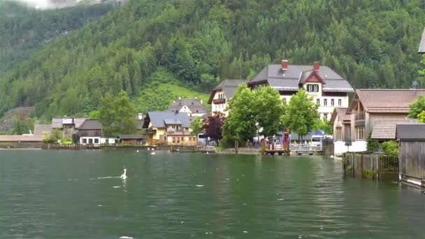 Miasto Hallstatt Łabędź Jeziorze Austria Malownicze Miasto Hallstatt Stanie Górna — Wideo stockowe