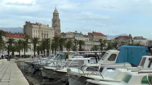 Personnes Bateaux Palmiers Dans Ville Split Croatie Personnes Bateaux Palmiers — Video