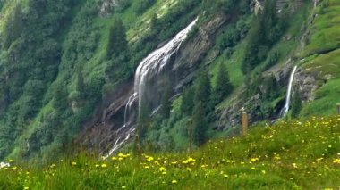 İsviçre Alpleri manzarası: Grindelwald yakınlarındaki şelale.