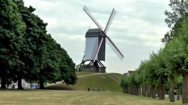 Pohled Tradiční Mlýn Bonne Chire Bonne Chiremolen Bruggách Belgie — Stock video